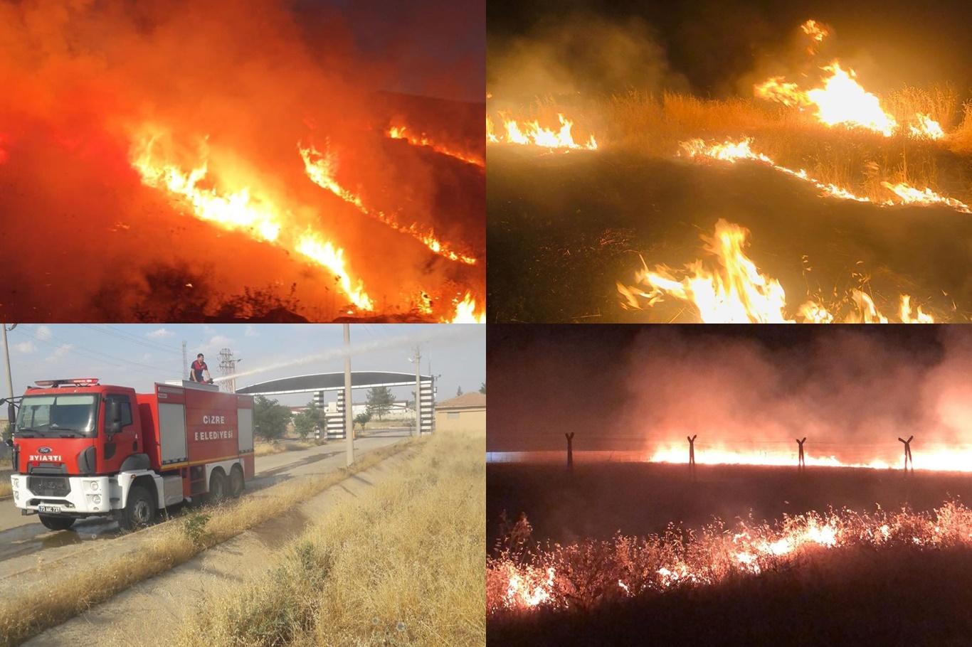 Suriye’de çıkan yangın Türkiye’ye sıçradı Suriye’de çıkan yangın Türkiye’ye sıçradı